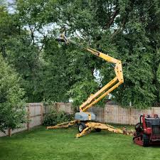 Best Hedge Trimming  in Seaside Heights, NJ